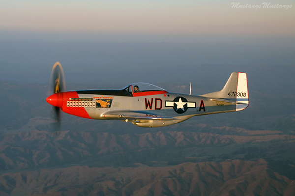 P-51 Mustangs